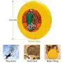 Pet Frisbee Flying Disc Dog Toy - Multifunction Ali Baba Et Les Quarante Voleurs001 Pet Frisbee Flying Disc Dog Toy - Multifunction Ali Baba Et Les Quarante Voleurs001