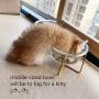 Glass Rasied Bowl for Cat Puppy Water Food Feeder wih Elevated Steel Stand, Tilt Angle, Stress Free Comfor Feeding Bowl (Glass Clear, Medium)