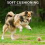 Spike Ball with Tennis Dog Toy, Medium 3.8'', TPR Throw Interactive Play Cleans Teeth for Medium Larger Pet (2 Balls)