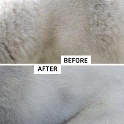 Professional Slicker Brush for Dogs and Cats by GoPets Self-Cleaning Grooming Comb For Dematting Detangling & Deshedding