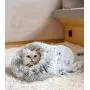 BODISEINT Cat Sleeping Bag Self-Warming Cat Bed Kitty Sack Winter Cozy Improved Sleep Small Dog Bed Mini Dachshund Chihuahua Cuddle Cave Snuggly Bed for Home & Travel (M, Gradient Gray)