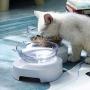 JiangYan-US Cat Bowls Elevated 15° Tilted Cat Food Water Bowls Raised Cat Bowls with Stand Stress-Free Suit for Cats Small Dogs