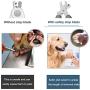 PETXIAOWU Dog Nail Clippers and Trimmer with File and Grooming Brush, Heavy Duty Nailclipper with Safety Guard to Avoid Over-Cutting for Cat, Dog, Rabbit, Guinea Pig at Home