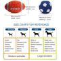 FLYER BOUTIQUE Dog Toys Pet Interactive Latex Sounding Balls Teeth Cleaning Big Football Tennis Rugby Volleyball