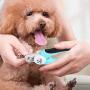 Pet Neat Dog Nail Clippers - Nail File Trimmer to Smooth Out Nails - Quick Safety Guard to Avoid Overcutting - for Small, Medium or Large Dogs