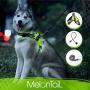 MelonTaiL Light Up Dog Harness with Bungee Leash-Rechargeable LED Light Dog Vest for Night Walking-Reflective Illuminated Harness for Extra Visibility-Glow in The Dark Lighted Vest for Dogs