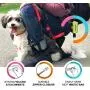 Pet Dreamland Dog Waste Bag Dispenser - Poop Bag Dispenser for Leash - Includes one Free Roll of Doggie Poop Bags - Zippered Pouch, Hook&Loop Straps and Carabiner Clip for Easy Carry (Green)