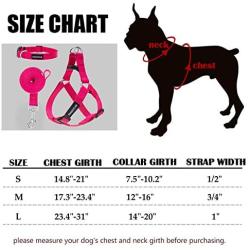 DMISOCHR Dog Harness and Leash Set with Collar - Step-in Adjustable No Pull Safe Doggy Harness - Soft Nylon H-Shape Full Body Harness - Easy Walking Control for Small, Medium, Large Dogs