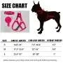 DMISOCHR Dog Harness and Leash Set with Collar - Step-in Adjustable No Pull Safe Doggy Harness - Soft Nylon H-Shape Full Body Harness - Easy Walking Control for Small, Medium, Large Dogs DMISOCHR Dog Harness and Leash Set with Collar - Step-in Adjustable No Pull Safe Doggy Harness - Soft Nylon H-Shape Full Body Harness - Easy Walking Control for Small, Medium, Large Dogs
