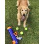 Nerf Dog Tennis Ball Blaster Dog Toy, Great for Fetch, Hands-Free Reload, Launches up to 50 ft, Balls Included, Assorted Sizes