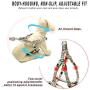 Step in Dogs Harness No Pull Dog Harness Adjustable Pest Vest with Leash Dog Safety Harness Easy for Outdoor Walking Training Easy Control Harness for Small Medium Large Breed Dogs