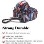 QQPETS Dog Harness Leash Set,Adjustable Vest Durable Heavy Duty Puppy Small Medium Large Dogs Perfect for Walking Running Training Splicing