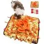 Sniffiz SmellyMatty Snuffle Mat for Dogs - Interactive Food IQ Enrichment Puzzle Toy Package (Large Nosework Orange Mat + Mini Treat Puzzles X 6) - Mind Stimulating Brain Games for Boredom Sniffiz SmellyMatty Snuffle Mat for Dogs - Interactive Food IQ Enrichment Puzzle Toy Package (Large Nosework Orange Mat + Mini Treat Puzzles X 6) - Mind Stimulating Brain Games for Boredom