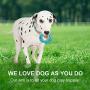 Dog Toys for Aggressive Chewers, Dog Chew Toy, Durable Natural Rubber Nearly Indestructible Toys for Dogs Medium and Large Breed