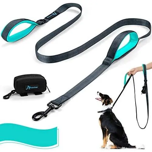 PuppyDoggy Double Handle Dog Leash 6 ft Long for Large and Medium Dogs Reflective Threads Stitching Leash with Two Traffic Padded Handles & Poop Bag Dispenser for Walking , Training (Green)