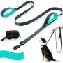 PuppyDoggy Double Handle Dog Leash 6 ft Long for Large and Medium Dogs Reflective Threads Stitching Leash with Two Traffic Padded Handles & Poop Bag Dispenser for Walking , Training (Green)