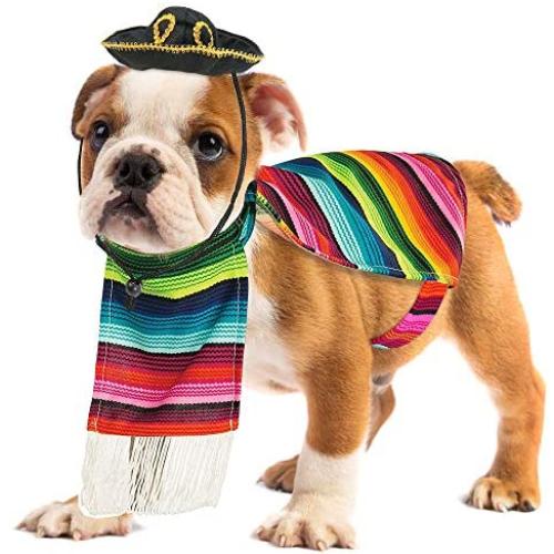 Skeleteen Mexican Serape Dog Costume - Cinco de Mayo Poncho and Sombrero Costumes for Pets
