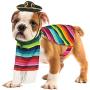 Skeleteen Mexican Serape Dog Costume - Cinco de Mayo Poncho and Sombrero Costumes for Pets