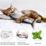 OTIME 2 Pack Electric Fish Cat Toy Realistic Plush Simulation Flippity Fish Cat Toy Catnip Kicker Toys, Funny Interactive Pets Pillow Chew Bite Kick Supplies for Cat Kitten Kitty