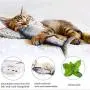 OTIME 2 Pack Electric Fish Cat Toy Realistic Plush Simulation Flippity Fish Cat Toy Catnip Kicker Toys, Funny Interactive Pets Pillow Chew Bite Kick Supplies for Cat Kitten Kitty OTIME 2 Pack Electric Fish Cat Toy Realistic Plush Simulation Flippity Fish Cat Toy Catnip Kicker Toys, Funny Interactive Pets Pillow Chew Bite Kick Supplies for Cat Kitten Kitty