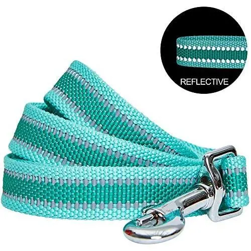 Blueberry Pet Essentials 10 Colors Reflective Classic Solid Color Dog Leashes Blueberry Pet Essentials 10 Colors Reflective Classic Solid Color Dog Leashes