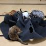 POPETPOP Cat Play Mat Cat Activity Sniffing Pad Interactive Scratching Bed Rug Behavioral Training Mat Pets Toy (Dark Grey)