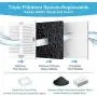 VinDox Replacement Carbon Filters for Cepheus 360 Oasisic Ceramic Pet Fountain/iPettie Cupcake/Wonder Creature Aurora and Cup Cake Pet Fountain Including 8 Carbon Filters +2 Foam Filters VinDox Replacement Carbon Filters for Cepheus 360 Oasisic Ceramic Pet Fountain/iPettie Cupcake/Wonder Creature Aurora and Cup Cake Pet Fountain Including 8 Carbon Filters +2 Foam Filters