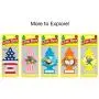 LITTLE TREES Car Air Freshener I Hanging Tree Provides Long Lasting Scent for Auto or Home I Piña Colada, 24 Count, (4) 6-Packs