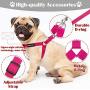 DMISOCHR Dog Harness and Leash Set with Collar - Step-in Adjustable No Pull Safe Doggy Harness - Soft Nylon H-Shape Full Body Harness - Easy Walking Control for Small, Medium, Large Dogs