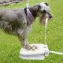 MATOP Dog Water Fountain