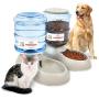 Pet Feeding Solution Automatic Cat & Dog Cafe Feeder and Water Dispenser in Set with Food Scoop - Ito Rocky 6-Meal Automatic Food Dispenser for Small / Middle Puppy and Kitten