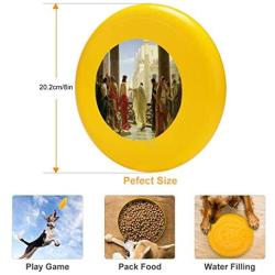 Pet Frisbee Flying Disc Dog Toy - Multifunction ECCE Homo Antonio Ciseri