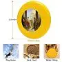 Pet Frisbee Flying Disc Dog Toy - Multifunction ECCE Homo Antonio Ciseri