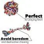 Bepets 4 Pack Dog Rope Toys for Small Dogs to Medium Dogs, Pet Toy Rope Dog Pull Toy Dog Tug Rope Dog Chew Toys for Puppies, Puppy Rope Toys Teething, Tug of War Dog Toy for Small Dog Bepets 4 Pack Dog Rope Toys for Small Dogs to Medium Dogs, Pet Toy Rope Dog Pull Toy Dog Tug Rope Dog Chew Toys for Puppies, Puppy Rope Toys Teething, Tug of War Dog Toy for Small Dog