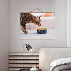 TinYida Healthy Pet Diet Quality Food Bowl Cat Dinner Ukraine,Canvas Posters Domestic Cat for Home Decoration 16X12In