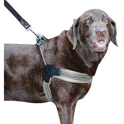 Sporn Easy Fit Dog Harness, Mesh, Gray, Large