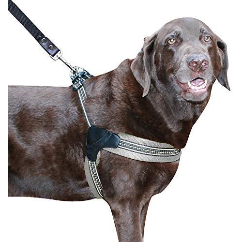 Sporn Easy Fit Dog Harness, Mesh, Gray, Large