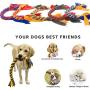 YINXUE 5 Pack Dog Rope Toys for Puppy Teething Chew Toys for Small Medium Puppies