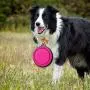 Clan_X Collapsible Dog Travel Bowls - 2 PCS Portable Silicone Pet Bowls with Carabiner, Foldable Bowl Dish for Hiking Camping Walking Dog Cat Food Water Feeding Bowls Clan_X Collapsible Dog Travel Bowls - 2 PCS Portable Silicone Pet Bowls with Carabiner, Foldable Bowl Dish for Hiking Camping Walking Dog Cat Food Water Feeding Bowls