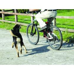The Company of Animals Pet Corrector
