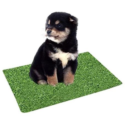 Kwan Artificial Grass Turf Training Pad Replacement for Pet Potty Toilet Trainer for Puppy Dog Pee Indoor