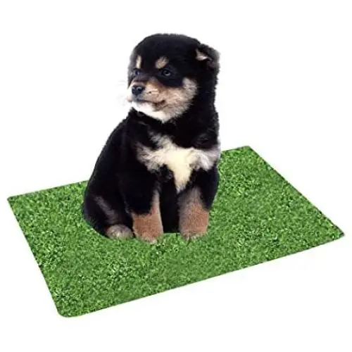 Kwan Indoor Outdoor Dog Potty Replacement Grass Artificial Turf Rug Mat Landscape Kwan Indoor Outdoor Dog Potty Replacement Grass Artificial Turf Rug Mat Landscape
