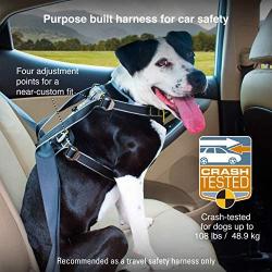 Kurgo Car Safety Dog Harness | Crash Tested Harness for Dogs | Integrated Dog Seatbelt Tether Loop | Pet Vehicle Restraint Seat Belt | Travel | Impact Harness | For Small Medium Large Pets