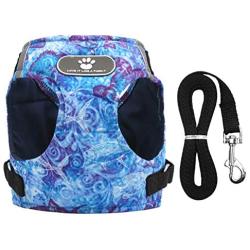 VILLCASE Dog Vest Harness and Leash Set for Walking Escape Proof Small Cat and Dog Harness Breathable Pet Pulling Strap with Reflective Strap Comfort Fit for Pet Kitten Puppy Rabbit (Blue, Size XS)