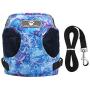 VILLCASE Dog Vest Harness and Leash Set for Walking Escape Proof Small Cat and Dog Harness Breathable Pet Pulling Strap with Reflective Strap Comfort Fit for Pet Kitten Puppy Rabbit (Blue, Size XS)