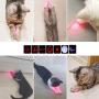Cats Dogs Toys Indoor/Outdoor, Interactive Kitten Pet Training Wand Chase Toy, Stainless Steel Cat Dog Wand Bring Cat and Dog Endless Fun and Keep Busy