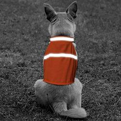 BSEEN Dog Reflective Vest High Visibility Safety with Adjustable Reflective Strips & Lightweight Comfortable Materials Keep Your Dog Safe While Walking & Hunting