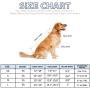 Dog Collar Harness Leash Set,Adjustable Basic Collar Halter Vest Harness Back Clip with Heavy Duty 5FT Anti-Twist Leash for Extra Small Medium Large Breed Dogs Training Easy Walk Running Hiking