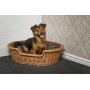 Prestige Wicker Dog Bed Basket with Cushion