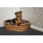 Prestige Wicker Dog Bed Basket with Cushion Prestige Wicker Dog Bed Basket with Cushion